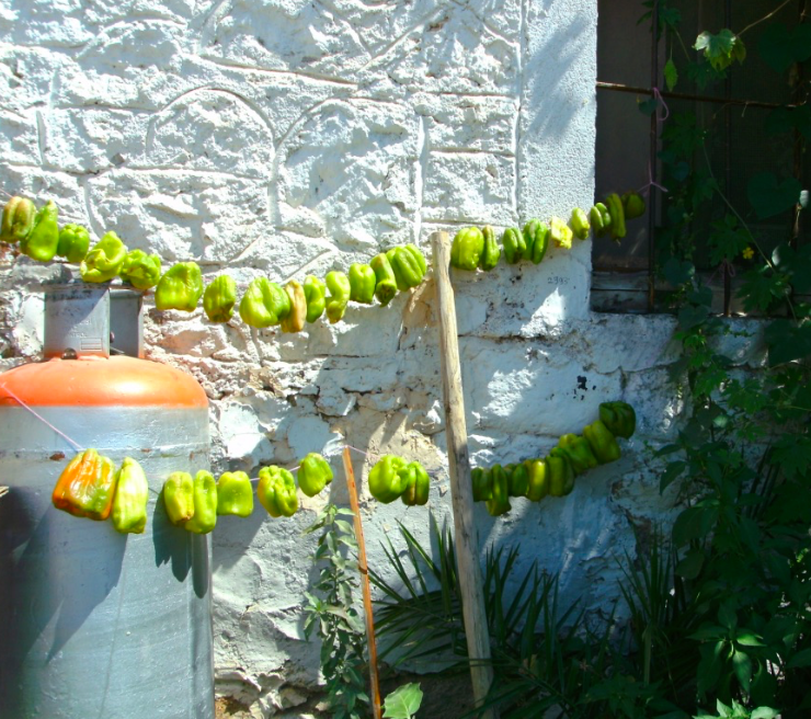 Mega yachts head for Yalikavak Marina, the deepest Marina in Turkey. It's also home to fisherman who remember the town when it was a thriving sponge diving port.